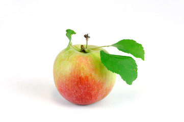 close up on red apple isolated on white background