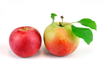 close up on red apple isolated on white background