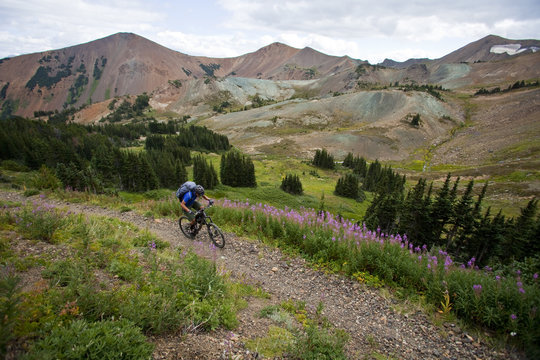 A middle aged male mountain biker rides the perfect singletrack trails of Spruce Lake Protected Area, Southern Chilcotins, British Columbia, Canada