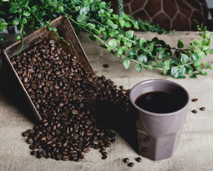 Coffee Beans and a Cup of Coffee