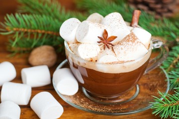 cup of hot cocoa with marshmallows on a Christmas background
