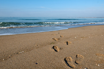 Fototapeta na wymiar Footprints in the sand with sea