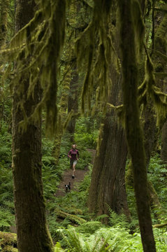 Trail running on the Four Lakes Trail at Alice Lake Provincial Park. Squamish, British Columbia, Canada