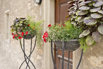 Fototapeta na wymiar flower pot in classic garden