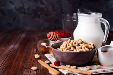 Healthy breakfast - cereal rings in a bowl with milk