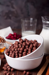 chocolate cereal rings in bowl