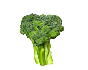 Broccoli vegetable isolated on white background