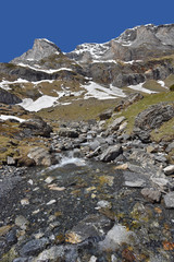 Fototapeta na wymiar Torrent on the slope of the spring mountain