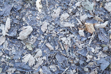 Old autumn dray leaves on the ground. Background.