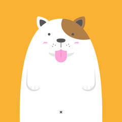 cute big fat Jack Russell dog on orange background