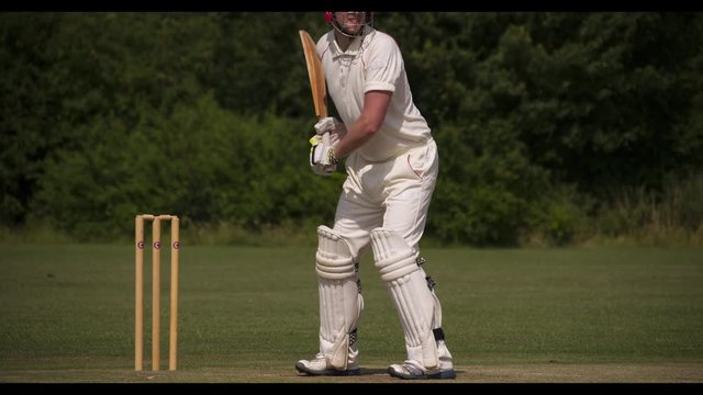 Batman strikes cricket ball.