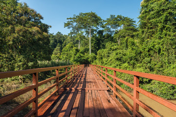  Wooded bridge over the river to forest at Khao Yai National Park, Thailand