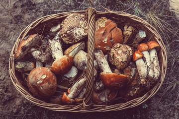 Mushrooms