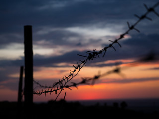 Barbed wire and sunset