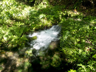Fototapeta premium 池山水源