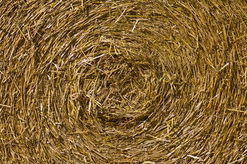 close up of a hay ball