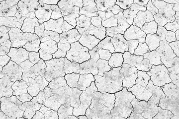 Cracked soil texture