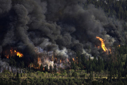 Forest Fire imagery in the Chilcotin region of British Columbia Canada