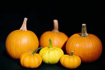 Pumpkins on black background