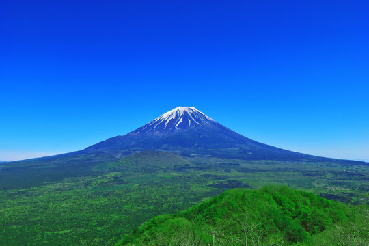 Fototapeta 【山梨県】烏帽子岳パノラマ台から富士山
