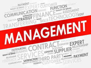 MANAGEMENT word cloud collage, business concept background