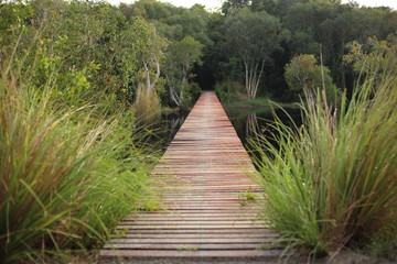 Obraz premium red wood bridge in Rayong at Thailand