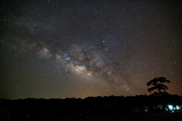 Fototapeta na wymiar Milky Way Galaxy and Silhouette of Tree with cloud.Long exposure