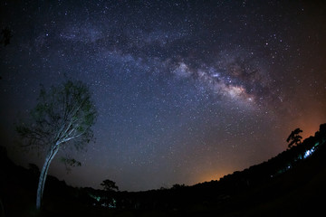 Fototapeta premium Milky Way Galaxy and Silhouette of Tree with cloud.Long exposure