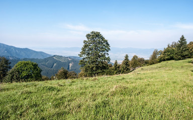 mountain meadow with trees, hills on the background and blue sky in Velka Fatra mountains in Slovakia
