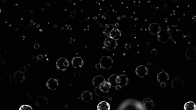 30 seconds of isolated bubbles rising over black background.