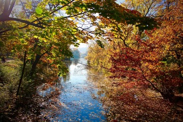 Au Parc d'automne, le Parc de la tête d'or à Lyon, France