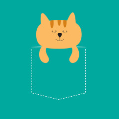 Cat sleeping in the pocket. Cute cartoon character. Orange kitten sleep kitty. Dash line. Pet animal collection. T-shirt design. Blue background. Isolated. Flat