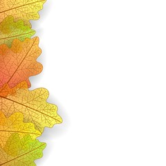 Background with stylized autumn leaves