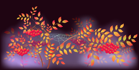Autumn Landscape with spider webs and dew drops. EPS10 vector illustration