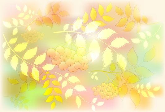 Background from leaves and rowan. Autumn leaf fall. EPS10 vector illustration