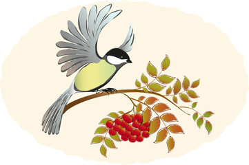 Naklejka premium Tit takes sits down with Rowan branches with berries. EPS10 vector illustration.