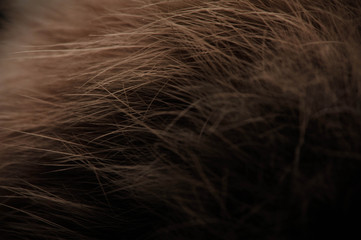 Texture photography studio