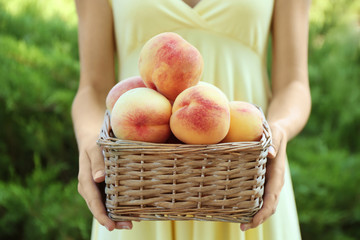 Female hands holding wicker basket with ripe peaches, close up