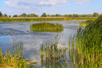 View on the river Dnieper