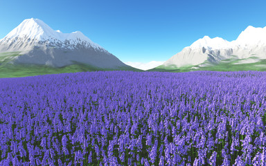 Field of blossoming lavender, distant mountains with snowy peaks, clear blue sky. 3D illustration.