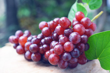 Ripe red grapes bunch on wooden background. 