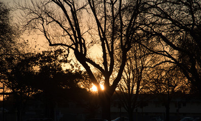 Christchurch Sunrise