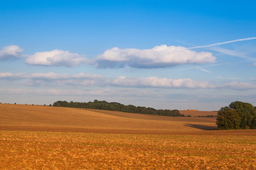 Autumn field after harvest at twillight