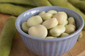 Broad Beans or Fava Beans