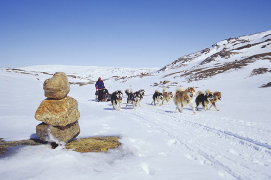 Dogs pulling a sled on snow field