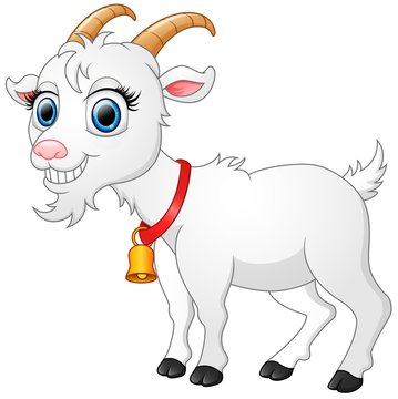 Cute white goat cartoon 