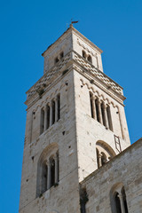 Fototapeta premium Cathedral of Acquaviva delle fonti. Puglia. Italy. 