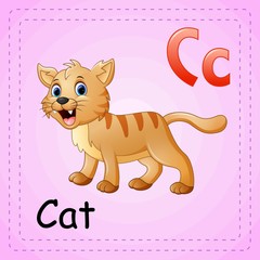 Animals alphabet: C is for Cat