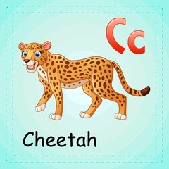 Animals alphabet: C is for Cheetah