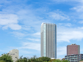 Fototapeta premium 東京の空